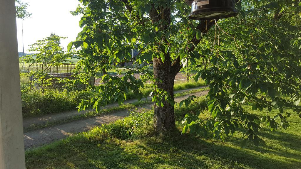 Marbys Gaestrum Ngoại thất bức ảnh